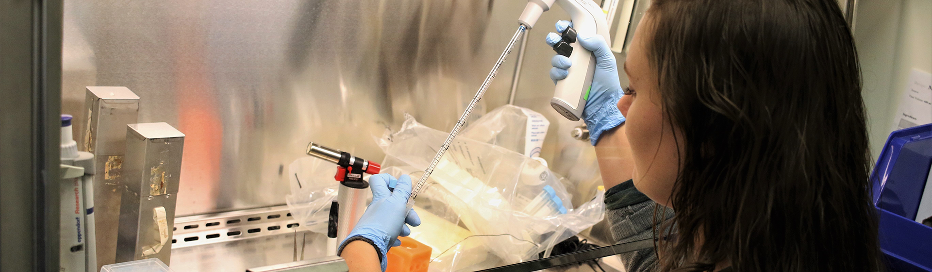 Student works in a lab