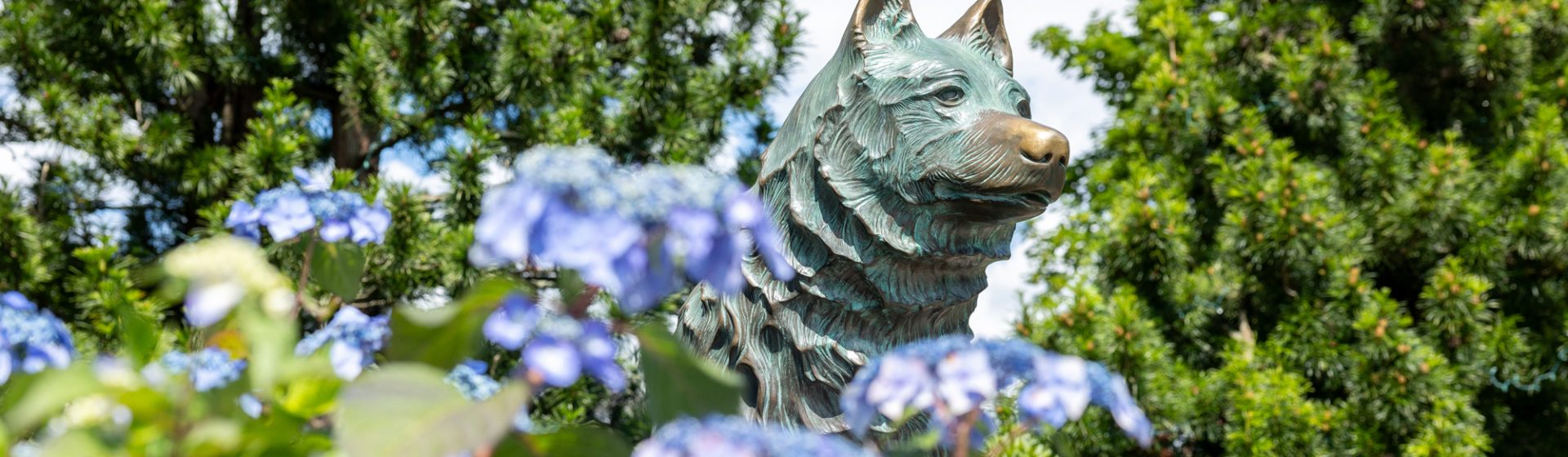 Husky Statue amongst flowers and trees